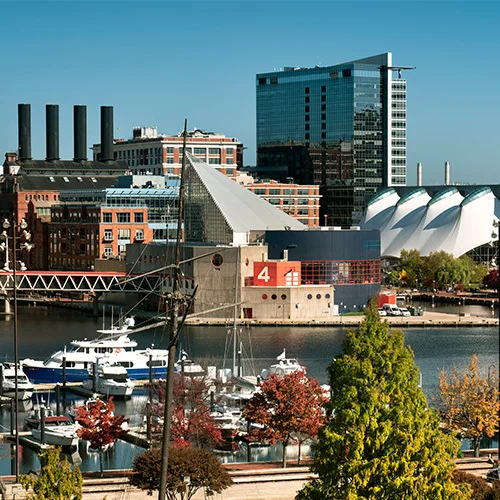 Inner Harbor of Baltimore, Maryland waterfront with boats moored at a marina, autumn-colored trees in the foreground, and a mix of modern and brick buildings along the harbor.