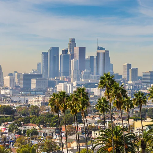 Downtown Los Angeles skyline in the distance, framed by tall palm trees in the foreground, with dense city buildings beneath a bright, lightly clouded sky.