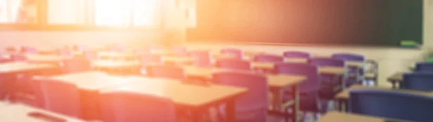 Sunlit classroom with rows of desks and chairs facing a chalkboard, representing education, learning, and the development of future legal professionals.