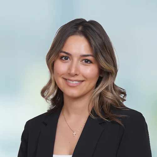 A photo of attorney, Dena Amini, against a softly blurred office background.