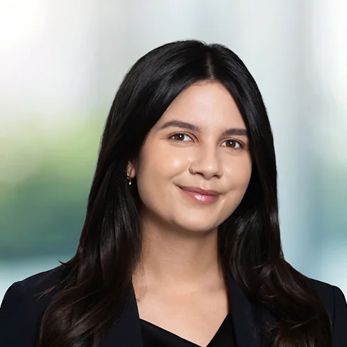 A photo of attorney Delilah Sadat against a softly blurred office background