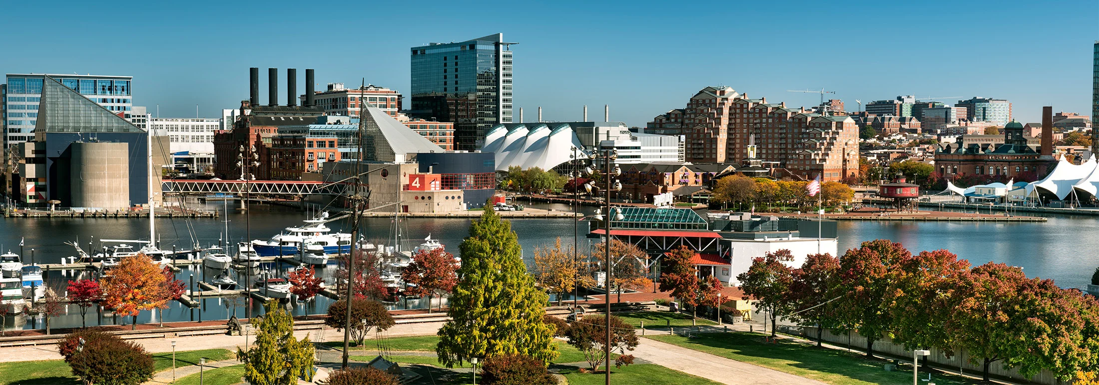 Inner Harbor of Baltimore, Maryland waterfront with boats moored at a marina, autumn-colored trees in the foreground, and a mix of modern and brick buildings along the harbor.