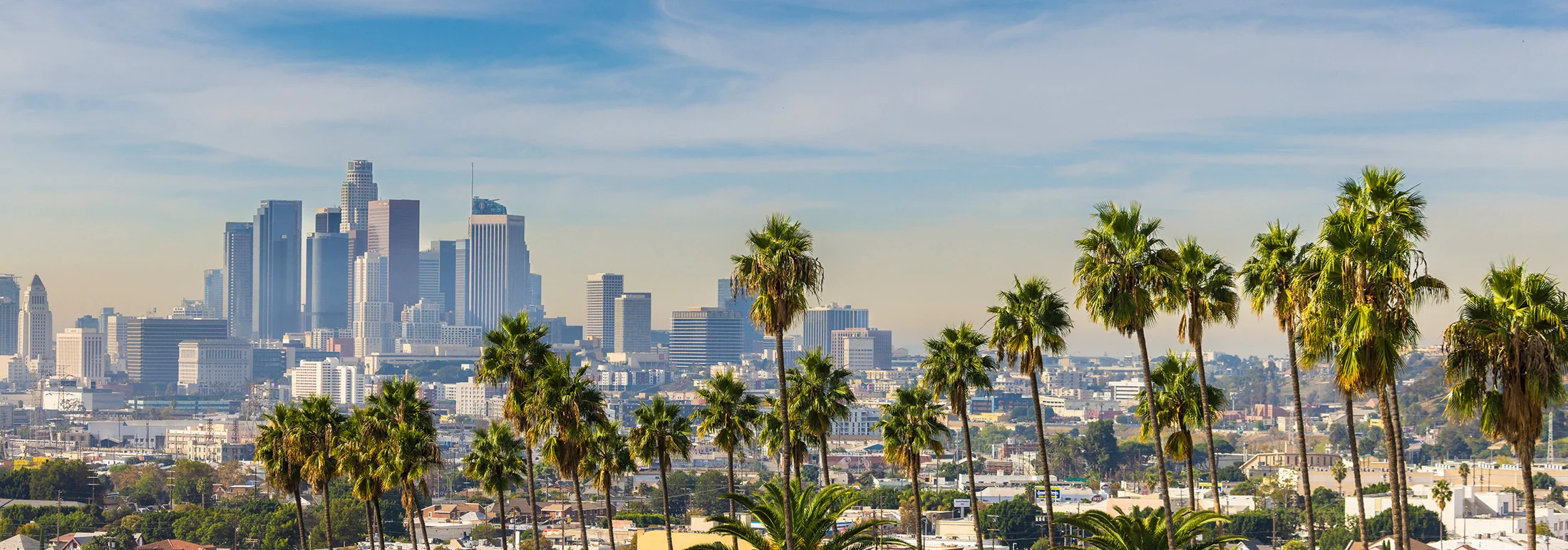 Downtown Los Angeles skyline in the distance, framed by tall palm trees in the foreground, with dense city buildings beneath a bright, lightly clouded sky.