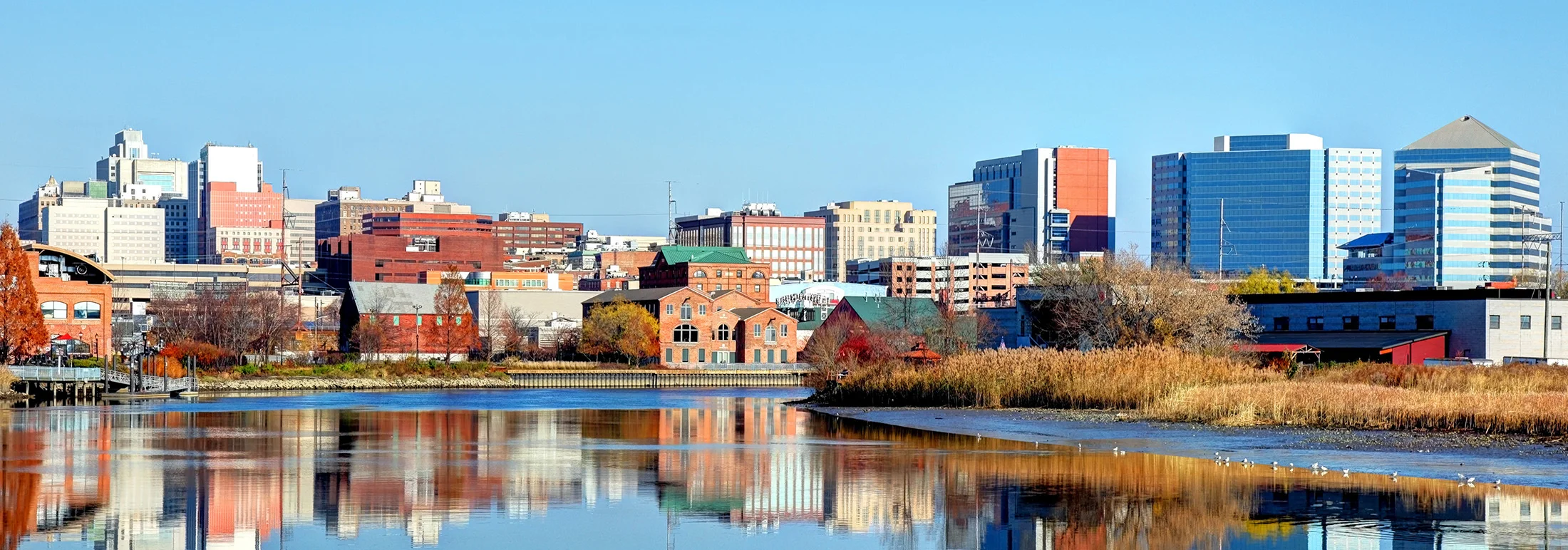 Panoramic view of Wilmington, Delaware’s riverfront skyline, showing modern office buildings and brick structures reflected in calm water, with autumn-colored trees and tall grasses along the shoreline beneath a clear blue sky.